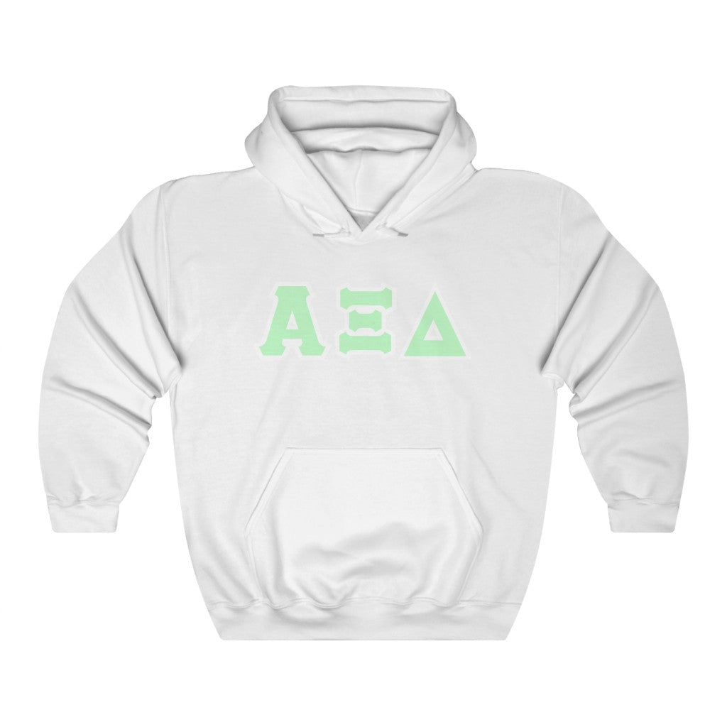 AXiD Printed Letters | Mint and White Border Hoodie