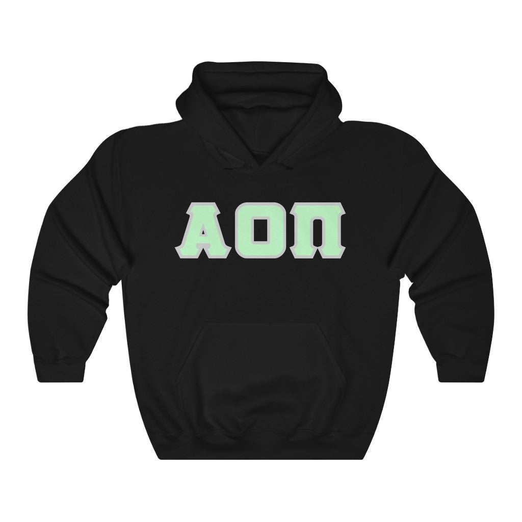 Alpha Omicron Pi Printed Letters | Mint with Grey Border Hoodie